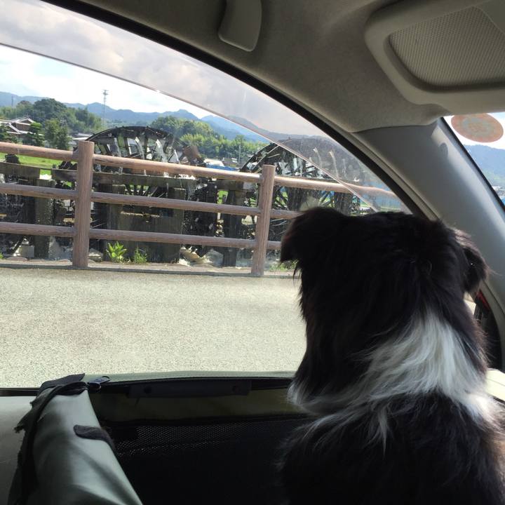 55988aec 722e 4621 97fc 89764abbad7c 1532310884446