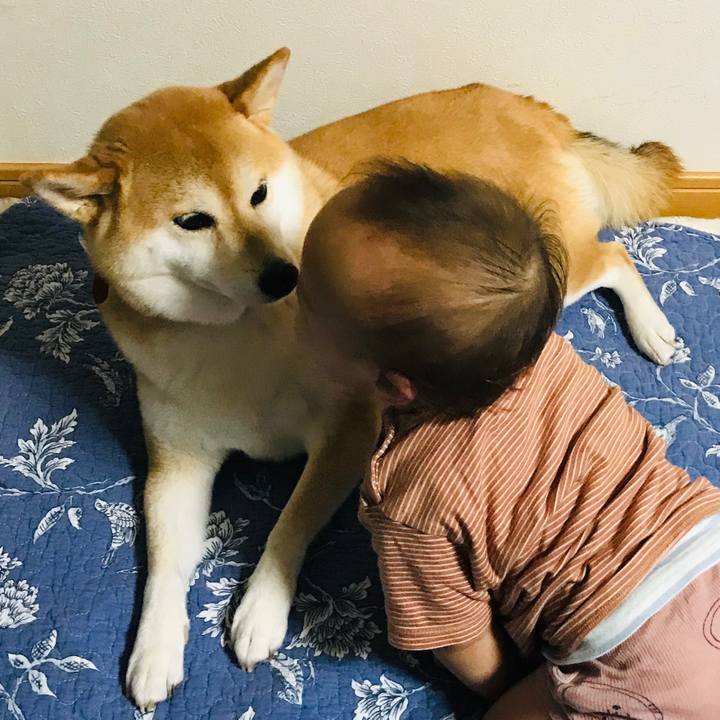 5598f134 59fe 4083 bd27 2dce55e47559 1568910452254