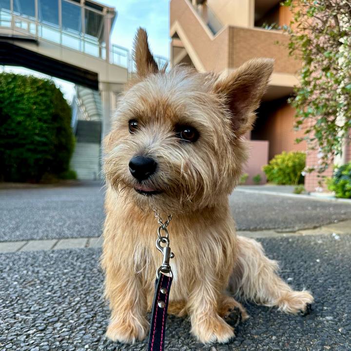 55990453 7219 4033 a0b3 b3a2f2ad29dc 1755476127589