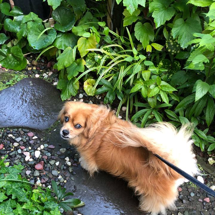 559944ed 4481 47a7 acc5 f2e8e4553099 1562882447523