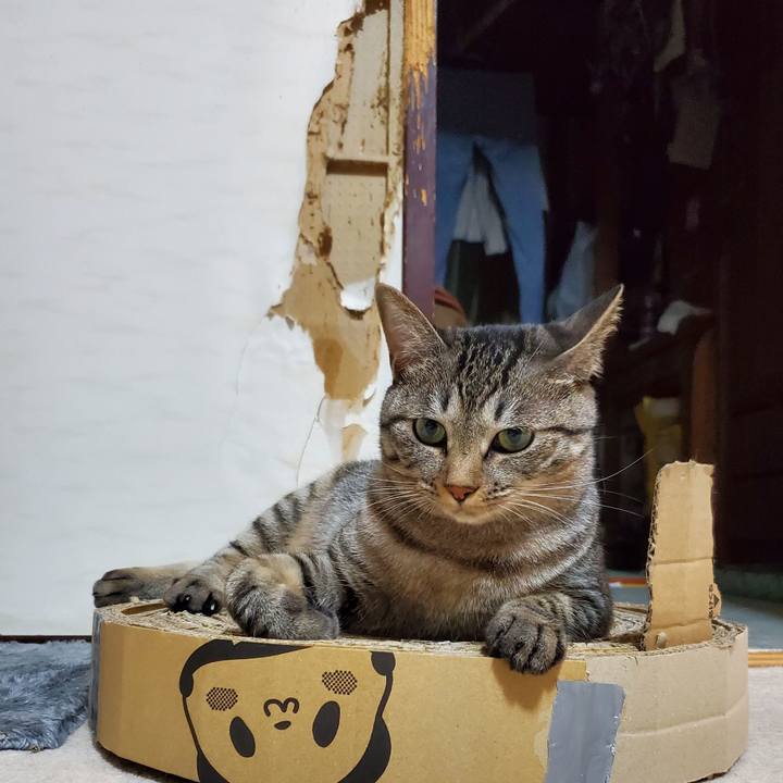 5599659e 34e2 4b83 8c33 c45b7ee762f3 1696626617940