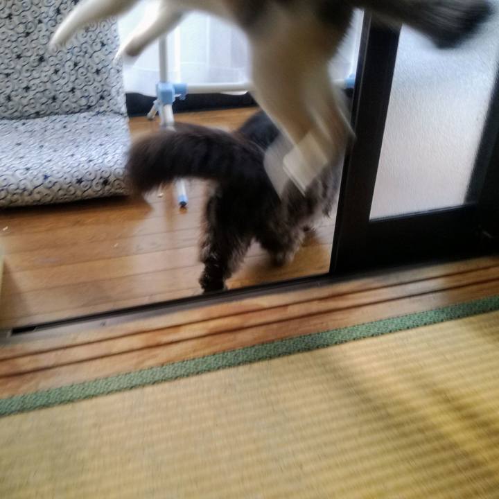 55998085 471b 4bbf a85a bdeb958791d6 1544314745524