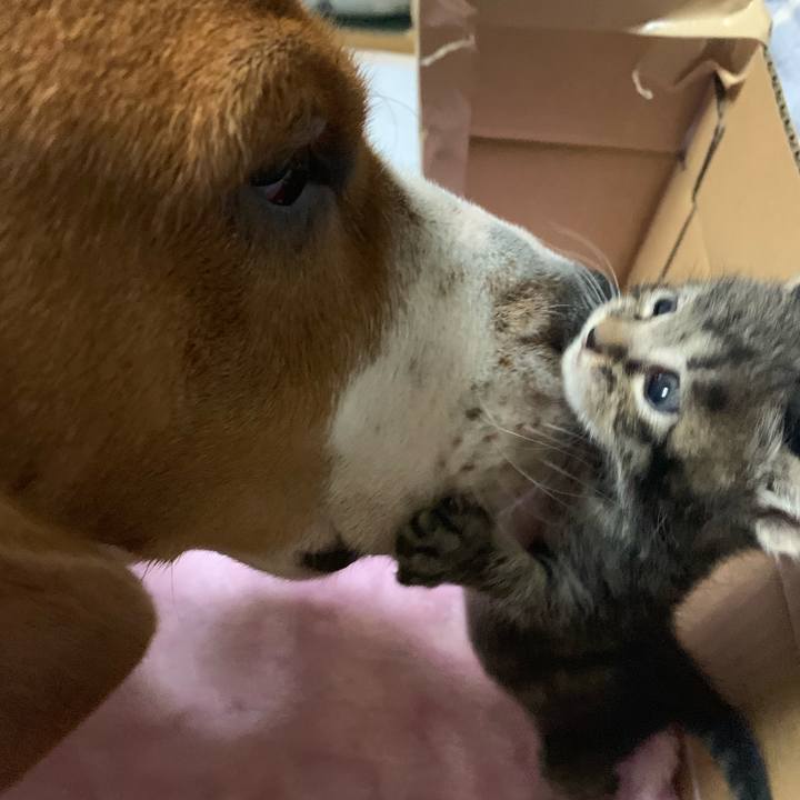 5599991c 41cd 4f0c af02 fbb8e7d4331b 1563026798171