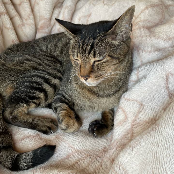 55999a4a cc9f 4053 bf74 0f4a4e274837 1611107106017