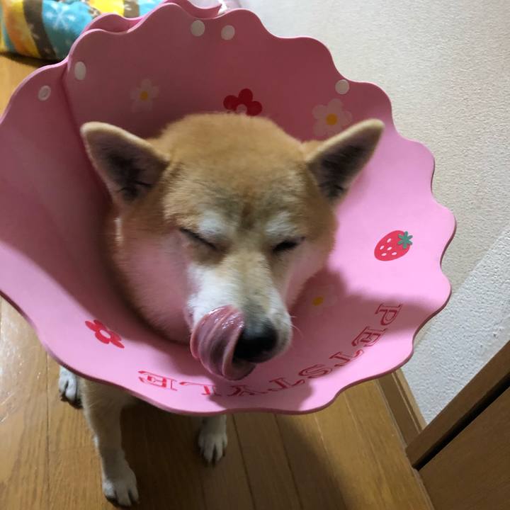 5599be51 01e4 48a7 bc43 13f0ad5c68ac 1575416633140