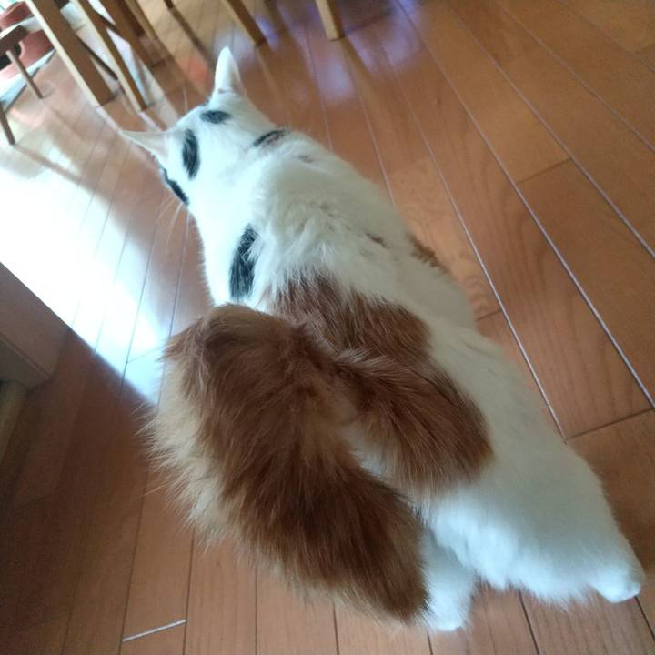 5599c2df d6f9 4365 b27c bff61acb96b6 1685919413886