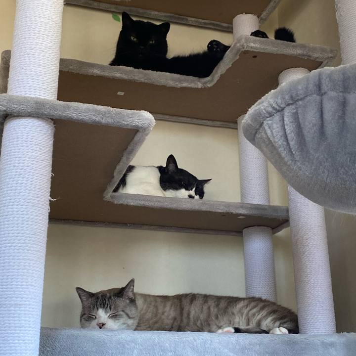 5599c9ca 8ea6 43c6 a4ea 5fe7327d0fac 1621906884961