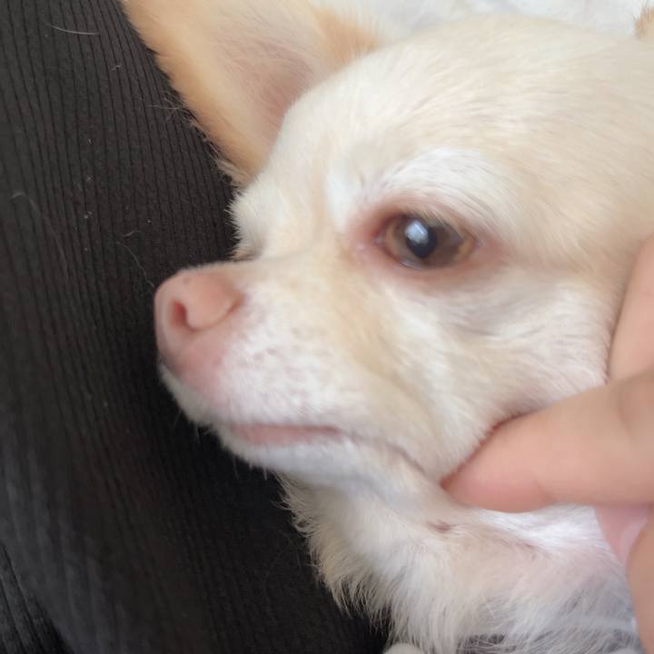 5599decb 272a 4d2c 8689 f40597cb5573 1727601067486