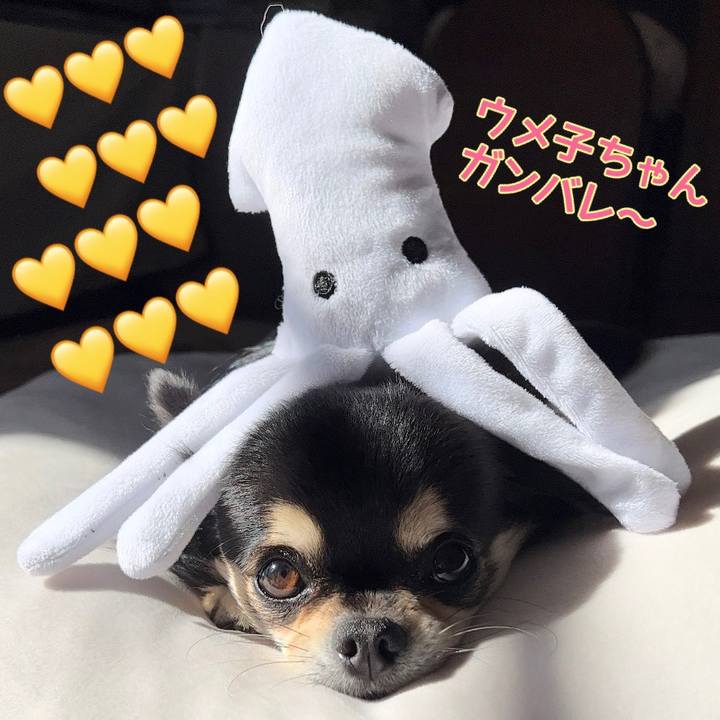 559a2f97 18a6 4674 9ff0 d4eeb76fcd5f 1674210991570