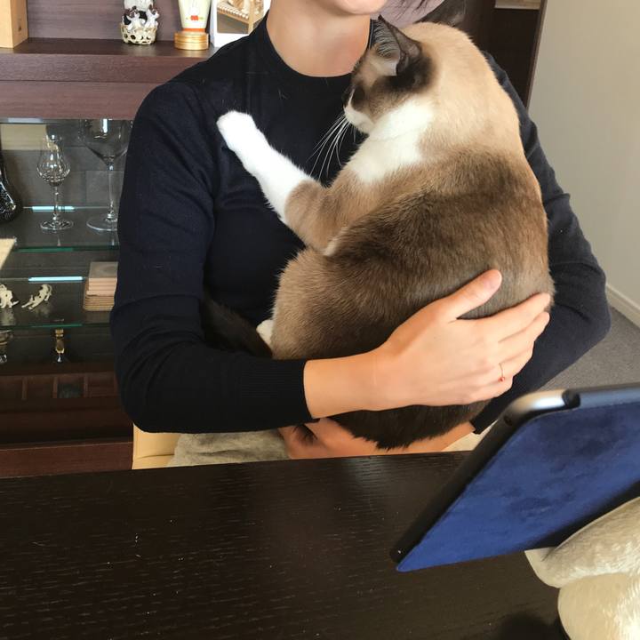 559a4029 4bbe 46fd 9d0c 4611527501ca 1543554092027