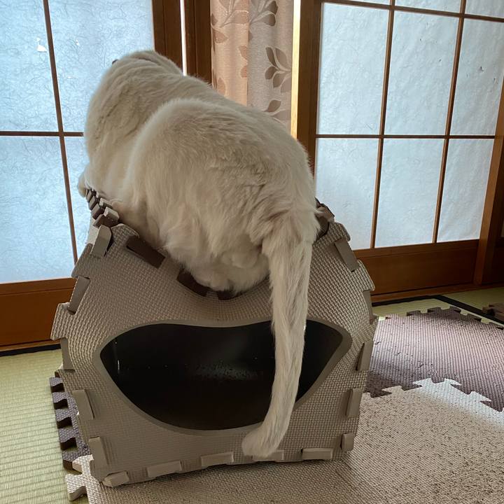 559a575c 34dc 4582 a86b bd84a8170f5b 1589231381777