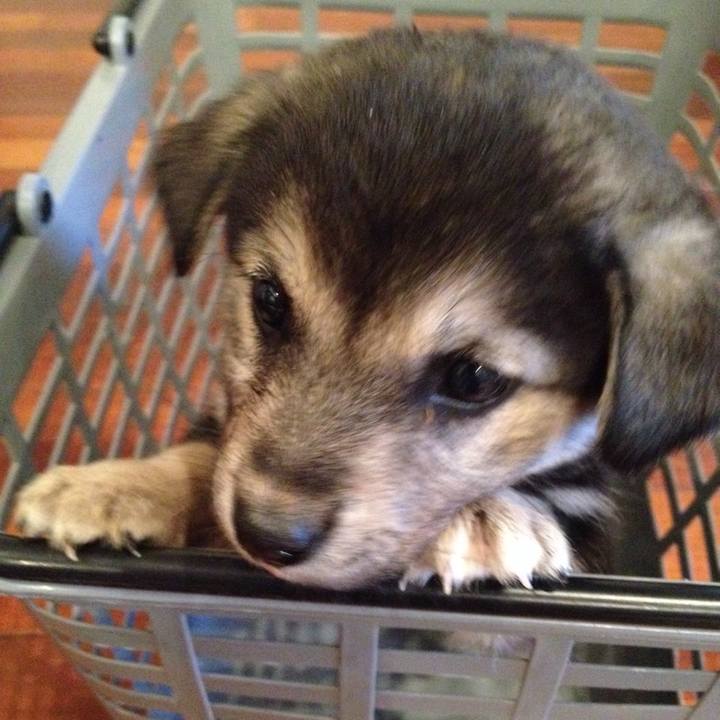 559a6c30 dbed 411b b9c6 23fa0c6e3180 1768207171215