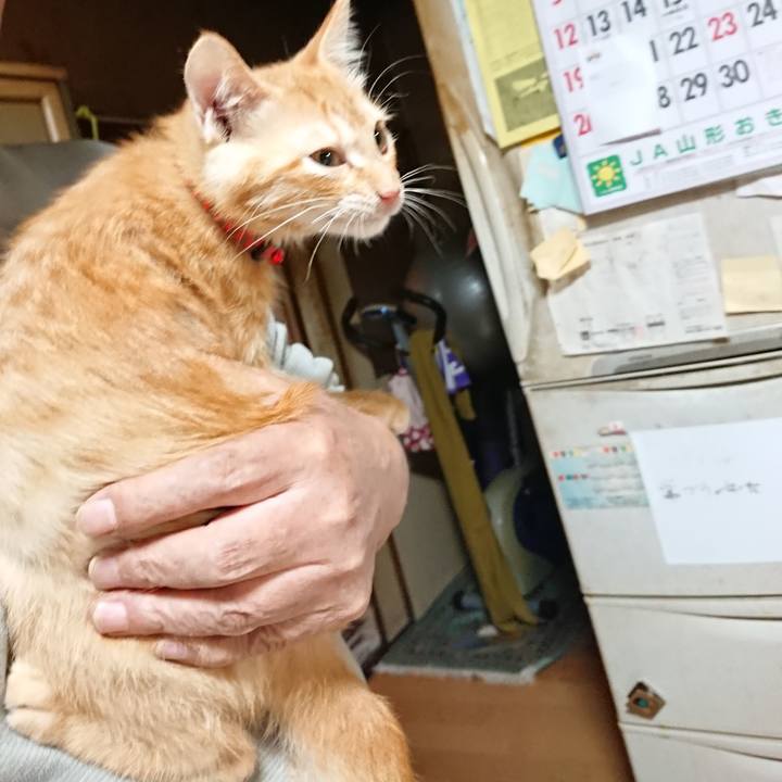 559a75ad 4cba 44ee b3ce e6d272858fd6 1631878239988