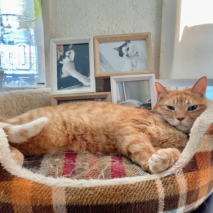 559a8664 654c 46ad a9a8 276a1c4e649b 1722486006777