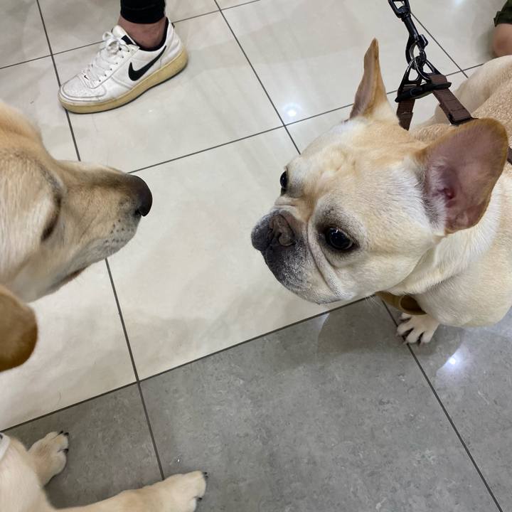 559a8cba eb04 49a9 b534 b7dcf633599b 1620555013221