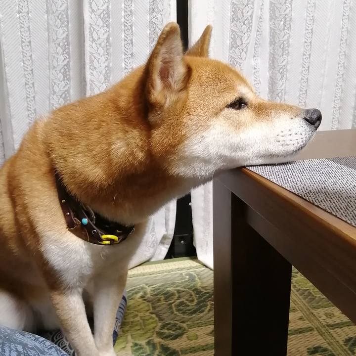 559abdaf 8950 44c9 b388 31d4d63c649a 1631357062010