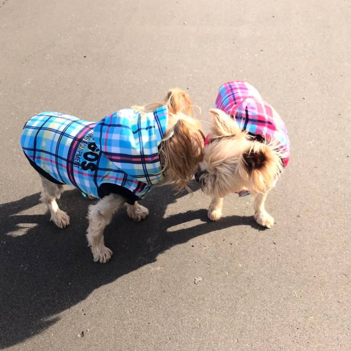 559abf43 6c94 43ba ad05 ce1b9e170272 1605691969404