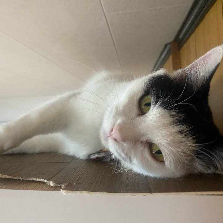 559ac62d bbf0 49bf a2a1 4130ce9fd7f0 1645360241586