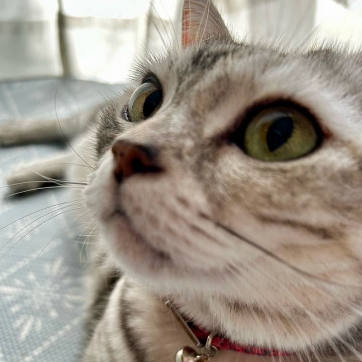 559ae394 146f 47f3 8b60 c0fbcf6ad6c2 1759098229353