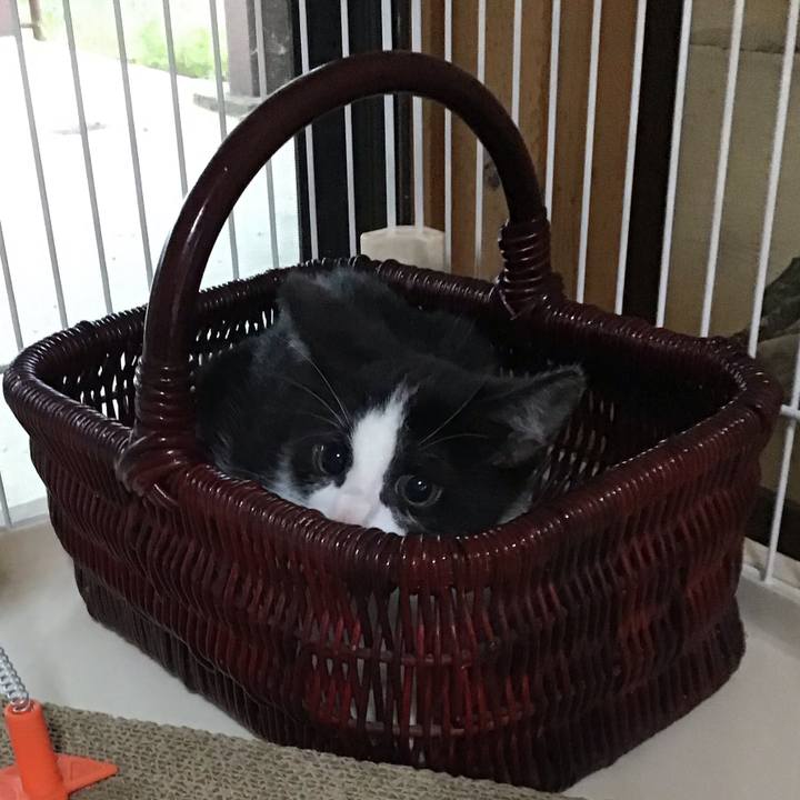 559aeabd 0b66 412c be93 9ef603fbd871 1625474404078