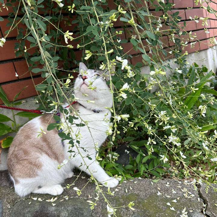 559aebbc 22c0 40db 9f9f 7f81ea2ec223 1727478669578