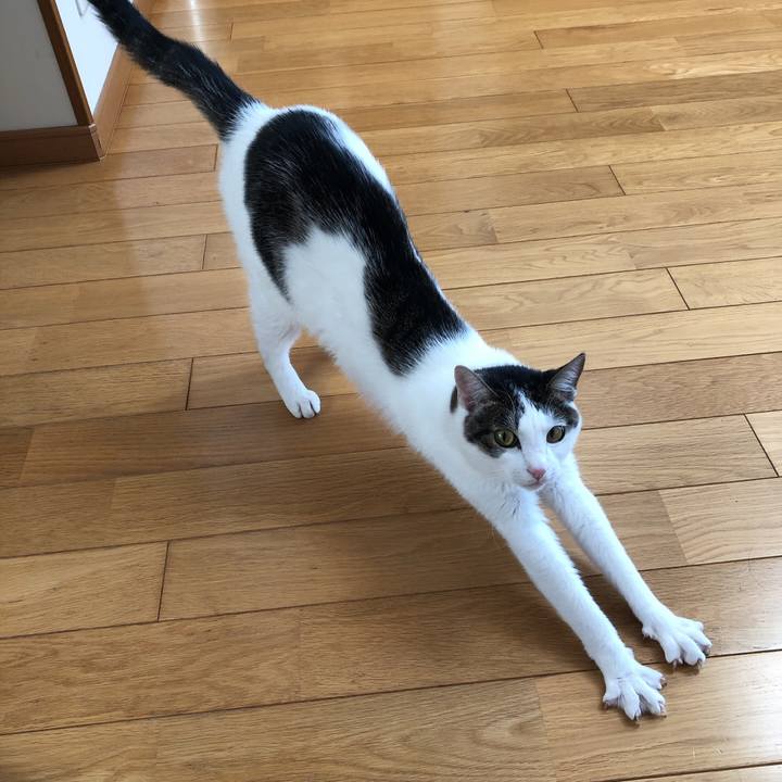 559b3722 f7c7 4c79 a123 d17b39a0d3e0 1603178589447