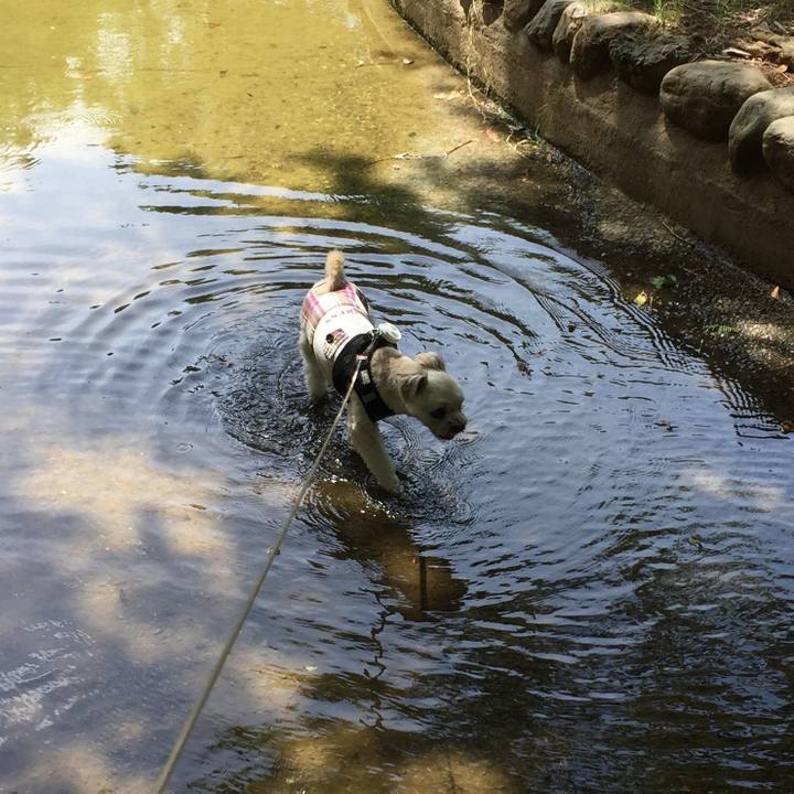 559b3917 4a6e 45ae ad7e 44748acab283 1534307355978