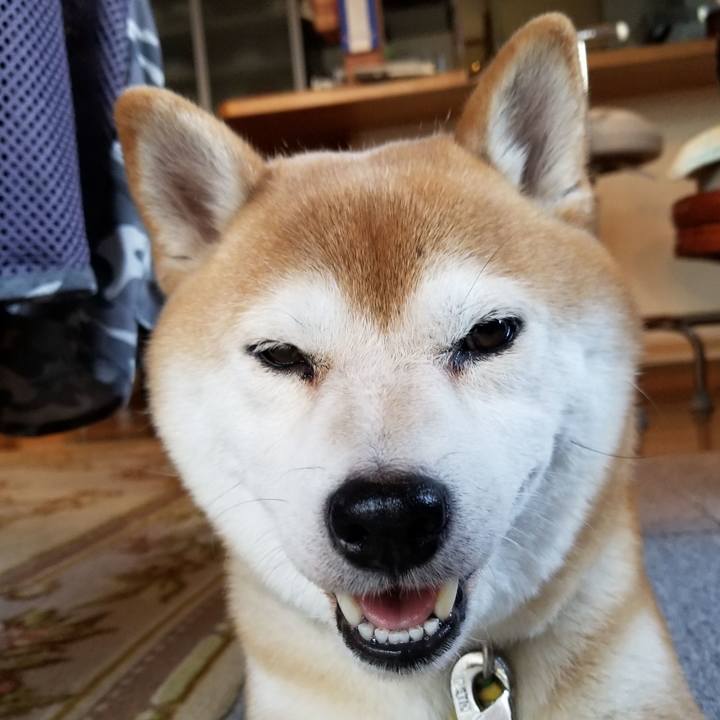 559b9d08 8a81 41d7 a1d9 bde5c10a6aa0 1568367987072