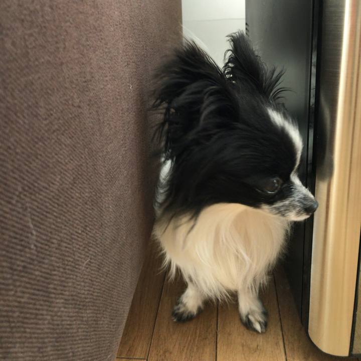 559baf3f 44ef 41d1 9a15 10513c0a2d27 1517316615137