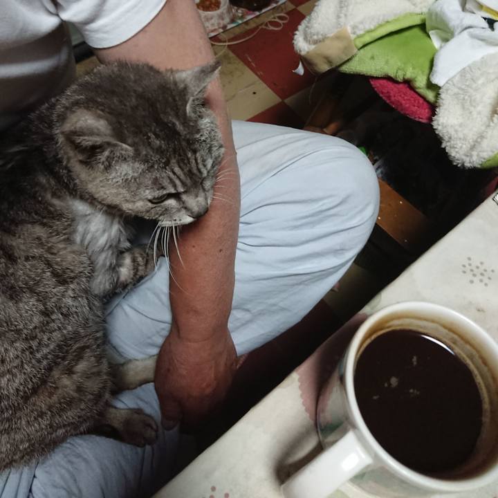 559bbe6b 5998 47f2 8a37 0600d45225cd 1591989535716