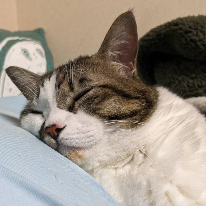 559bc33f 9cba 459b 84c9 9e0d99df13c0 1702258550582