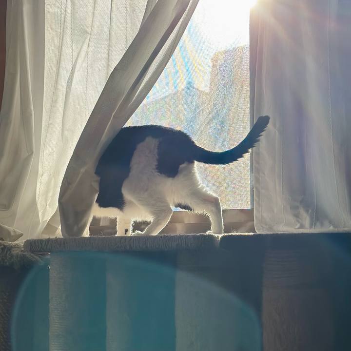 559bded7 ae85 4f04 a535 03192c4b9ed2 1708912315555