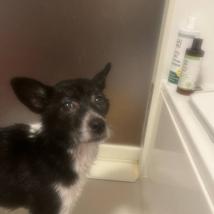 559be6c4 6ecd 493f b0d1 b2977cf584dd 1735607436687