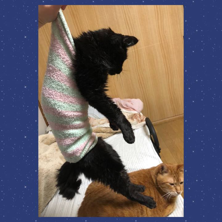 559c5061 97bb 4b1e 8783 25fb5c4a1848 1646480971427