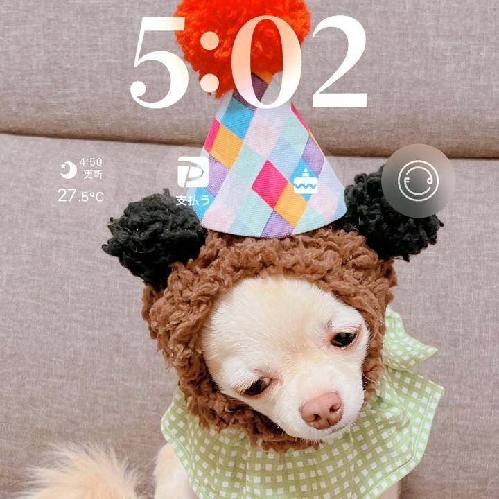 559c51dc 6599 4388 9173 f1854e0ec1f4 1693202232899