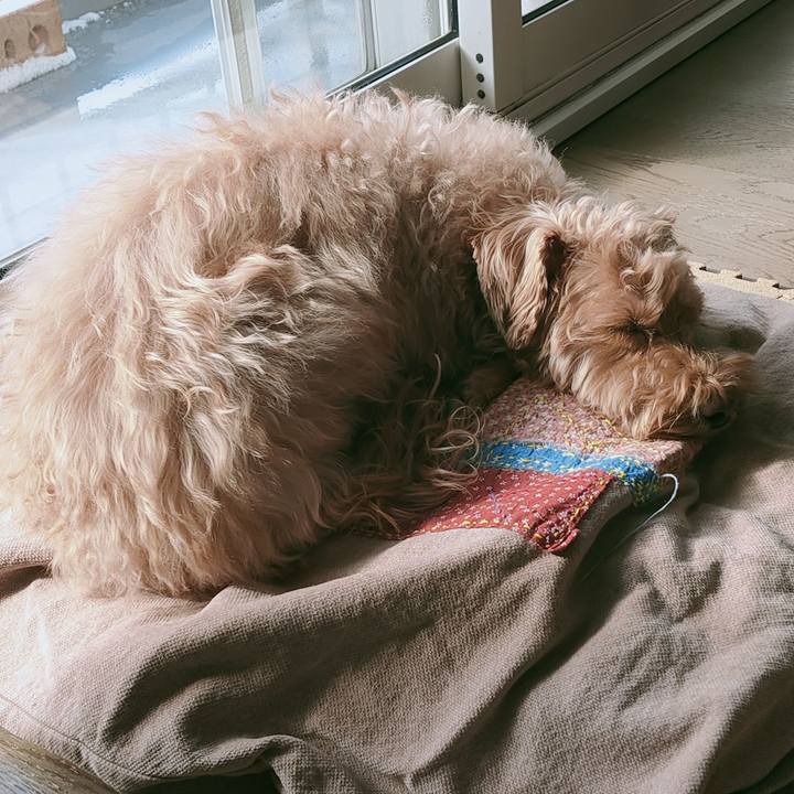 559c7415 ec93 4cb2 821d 57f8242c01c4 1615008296876