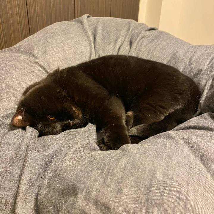 559c78ef 165b 4466 8159 79cb6b1aa71e 1680271170068