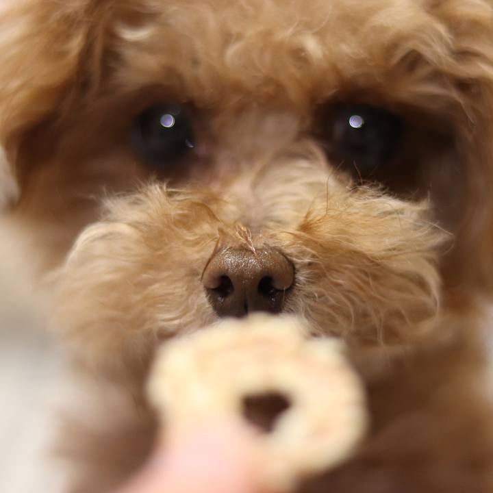 559c7ca9 a36a 4967 9440 c73297763941 1555337551843