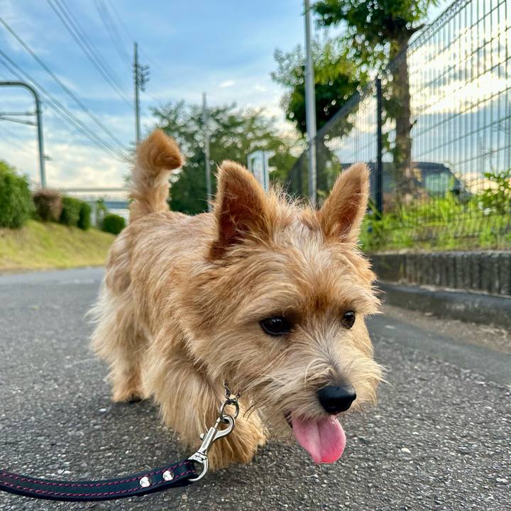 559c979a da08 435b 8f3c 360decc95ea1 1721871937619