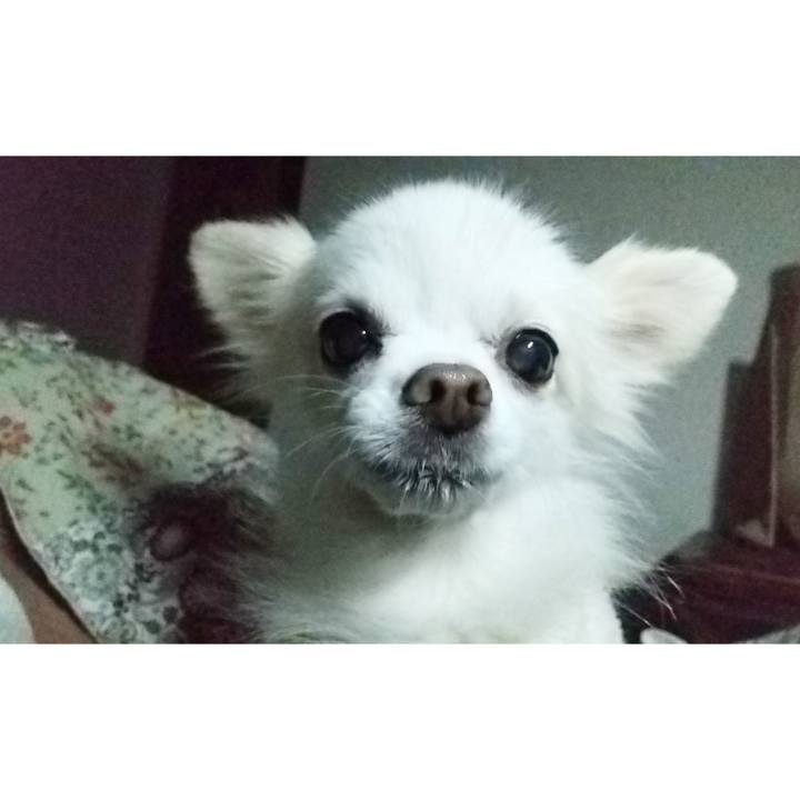 559ca6bb 7e99 4c66 afa6 5ec342fcca49 1661953995870