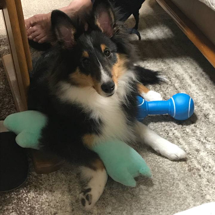 559caf0a c4e5 42d4 8be4 76c8ed795448 1517349254499