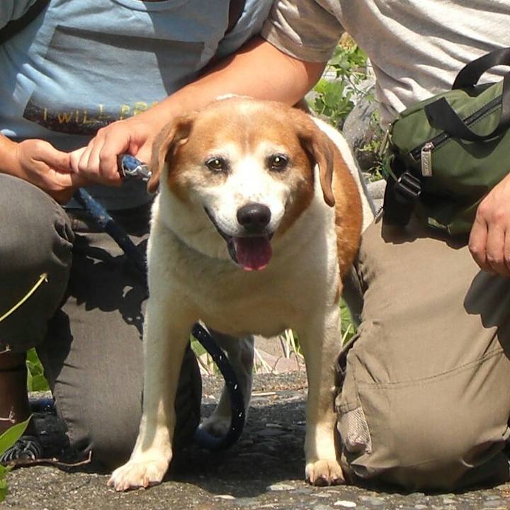 559cea2d d730 490a 96d1 fa3219f891f9 1512957664931