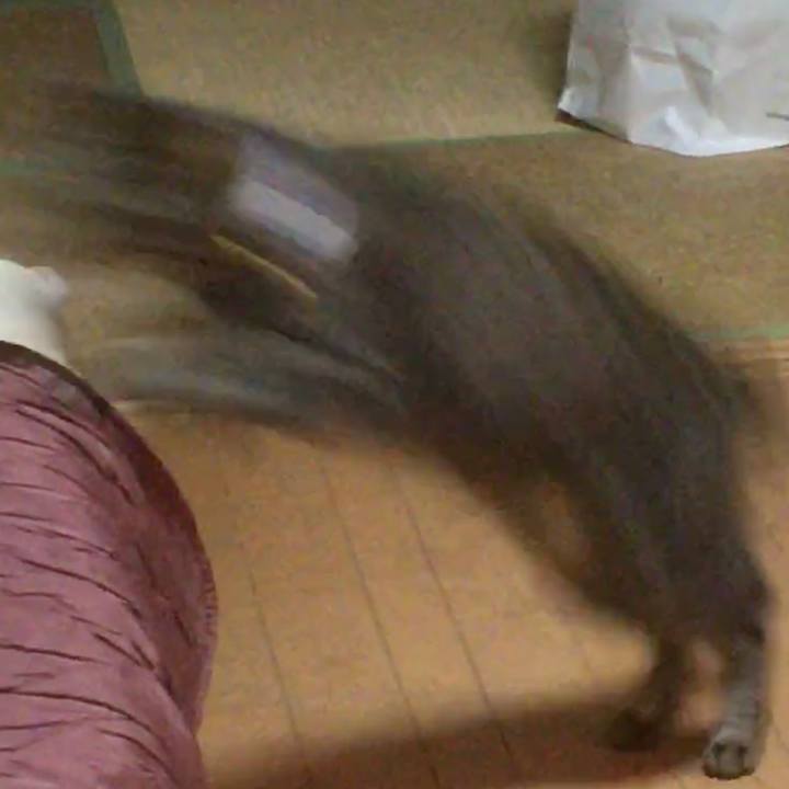 559cf699 1153 43ab 8327 6911b06d0a3a 1587964571958