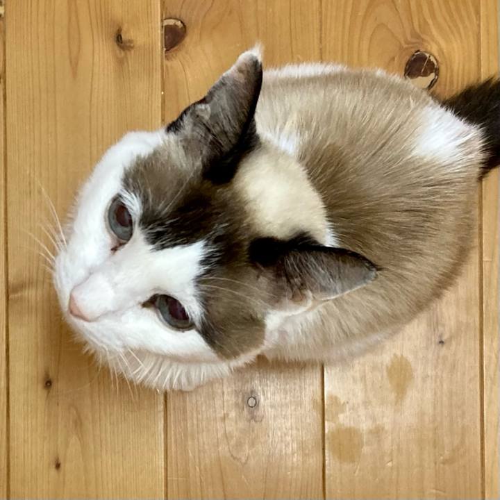 559cfa2d c6a3 4b1a 93e4 778d8da56cd4 1679032061509