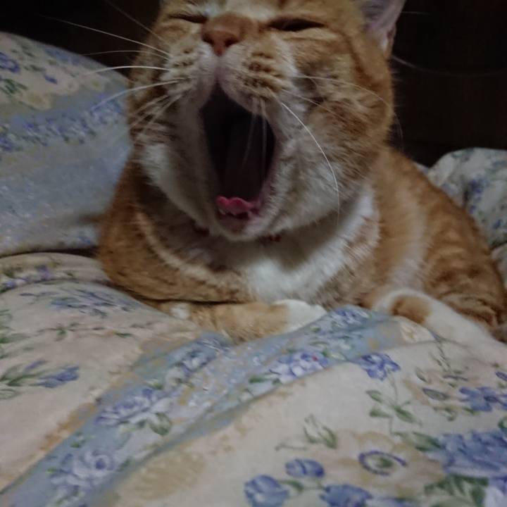 559d1416 cd37 4e8b aa7f b37b9887e2f0 1578914113955