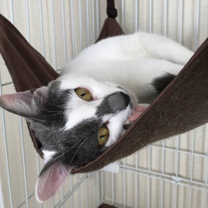 559d1e62 d3e7 4f54 b688 8691efb02eff 1510192653179