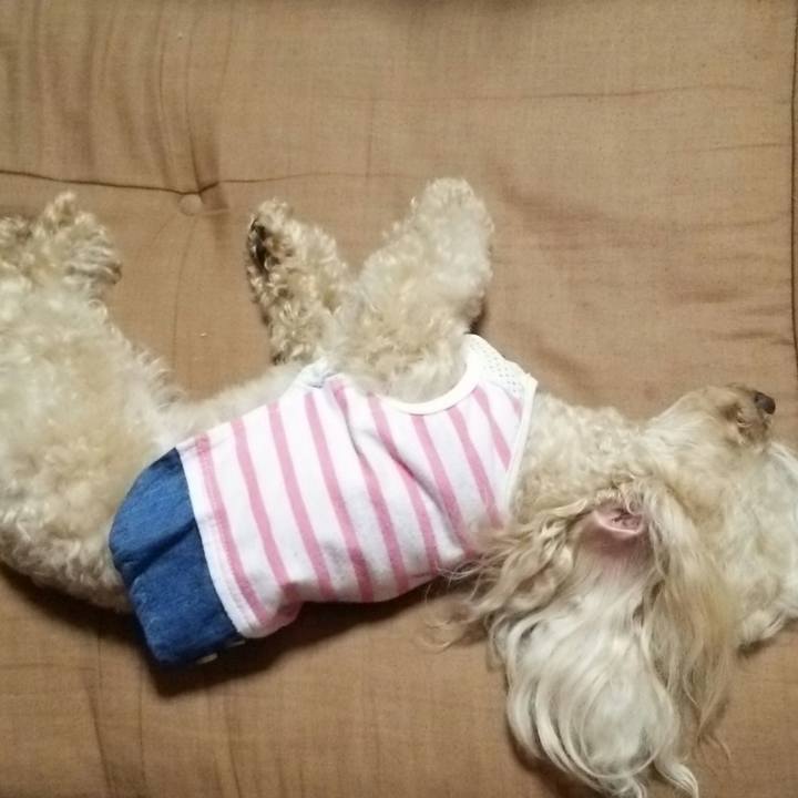 559d268c 7950 4f39 91d7 5ec4cebba1a4 1532952304675