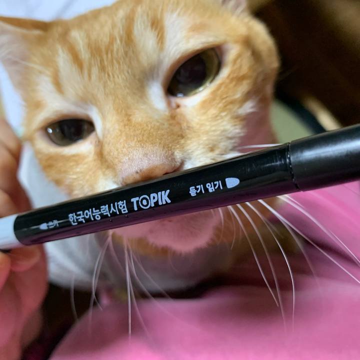 559d460e b20b 446f 8570 b00ce444f309 1618145964977