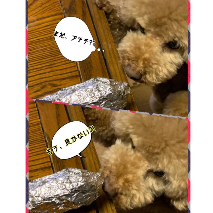 559d4f81 c86a 4f2c 8880 78863bb90475 1549018036485