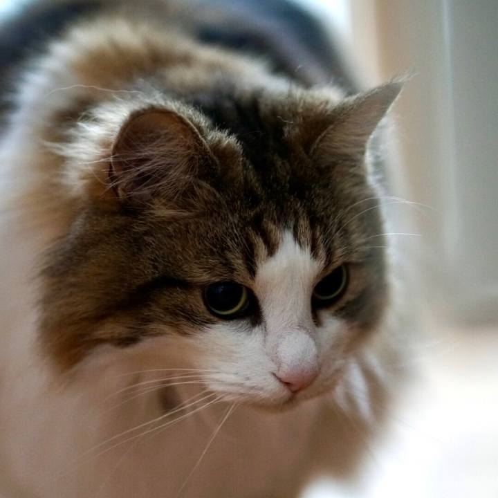 559d8997 b59c 4876 b299 29661f73ca8e 1654593218590